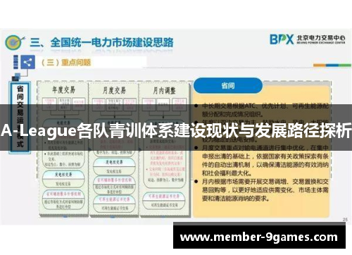 A-League各队青训体系建设现状与发展路径探析