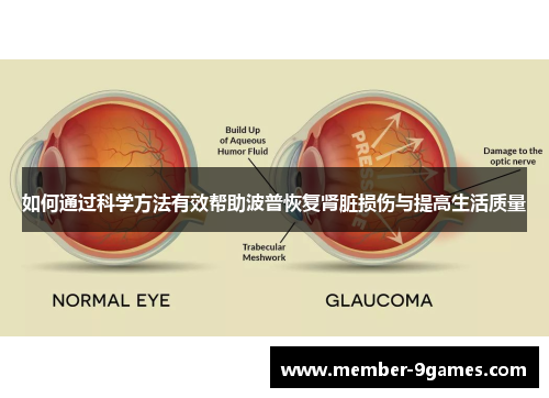 如何通过科学方法有效帮助波普恢复肾脏损伤与提高生活质量