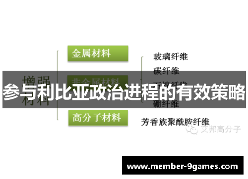参与利比亚政治进程的有效策略