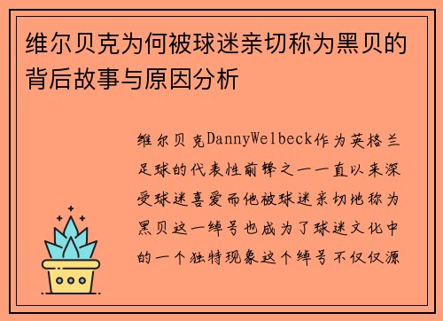 维尔贝克为何被球迷亲切称为黑贝的背后故事与原因分析 维尔贝克为何被球迷亲切称为黑贝的背后故事与原因分析